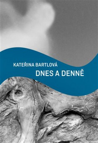 Könyv Dnes a denně Kateřina Bartlová