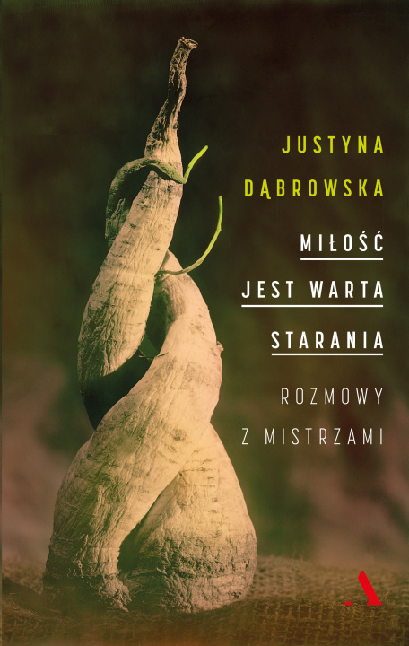 Kniha Miłość jest warta starania. Dąbrowska Justyna