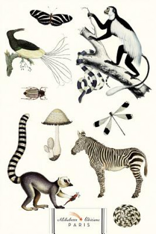 Kniha Noir Et Blanc (Black & White Animals): Nature Is the Designer! Alibabette Editions