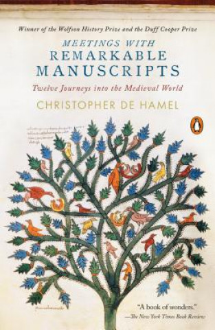 Libro Meetings with Remarkable Manuscripts: Twelve Journeys Into the Medieval World Christopher De Hamel