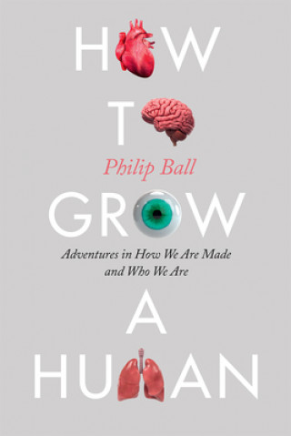 Carte How to Grow a Human: Adventures in How We Are Made and Who We Are Philip Ball