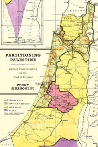 Kniha Partitioning Palestine Penny Sinanoglou