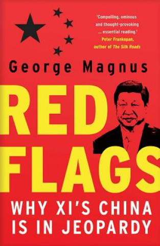 Könyv Red Flags George Magnus