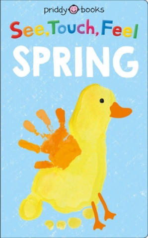 Książka See, Touch, Feel: Spring Roger Priddy