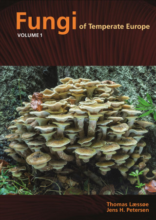 Książka Fungi of Temperate Europe Thomas Laessoe