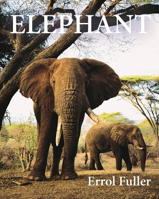 Kniha Elephant Errol Fuller