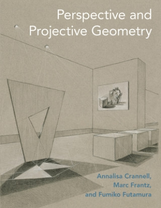 Książka Perspective and Projective Geometry Annalisa Crannell