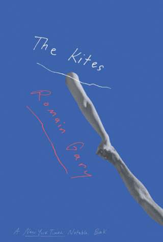 Carte Kites Romain Gary