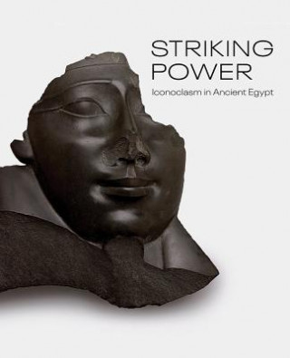 Knjiga Striking Power Edward Bleiberg