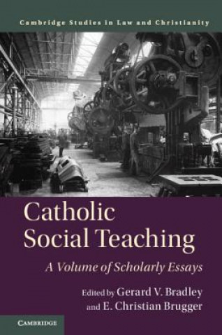 Kniha Catholic Social Teaching Gerard Bradley