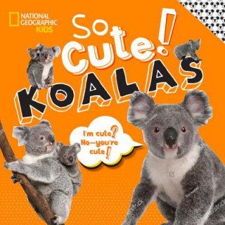 Livre So Cute! Koalas Crispin Boyer