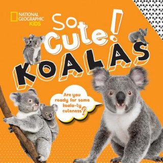 Livre So Cute! Koalas Crispin Boyer