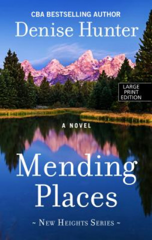 Kniha Mending Places Denise Hunter