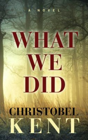 Kniha What We Did Christobel Kent