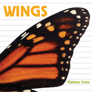 Book Wings Katrine Crow