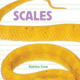 Libro Scales Katrine Crow