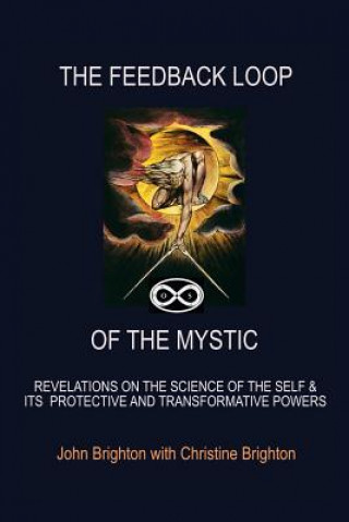 Könyv Feedback Loop of the Mystic John Brighton