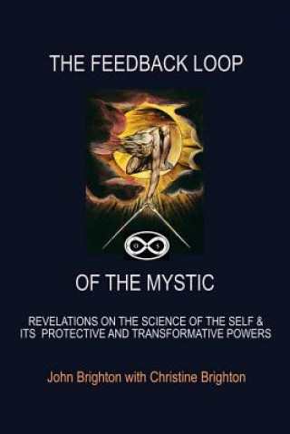 Livro Feedback Loop of the Mystic John Brighton