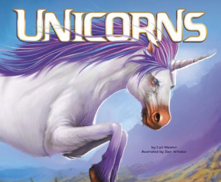 Buch Unicorns Cari Meister