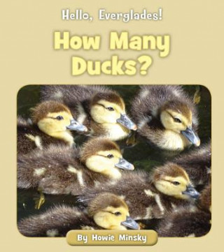 Carte How Many Ducks? Howard Minsky