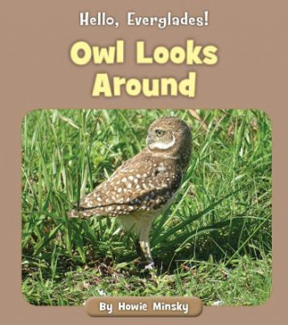 Kniha Owl Looks Around Howard Minsky