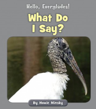 Buch What Do I Say? Howard Minsky