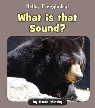 Boek What Is That Sound? Howard Minsky