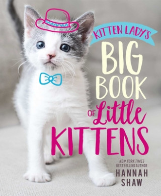 Kniha Kitten Lady's Big Book of Little Kittens Hannah Shaw
