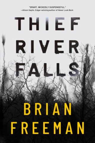 Kniha Thief River Falls Brian Freeman