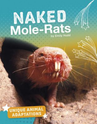 Könyv Naked Mole-Rats Emily Hudd