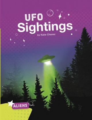 Könyv UFO Sightings Katie Chanez