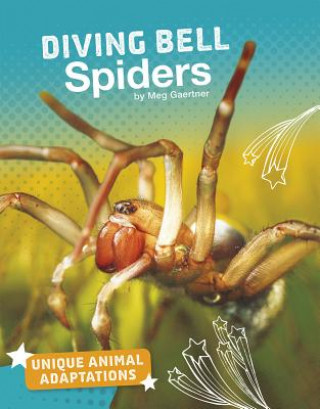 Buch Diving Bell Spiders Meg Gaertner