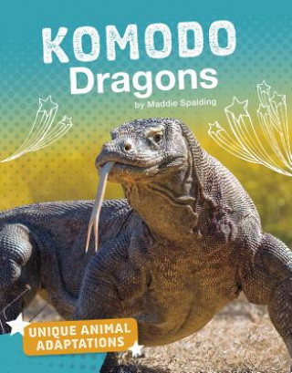 Könyv Komodo Dragons Maddie Spalding