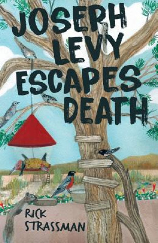 Kniha Joseph Levy Escapes Death Rick Strassman