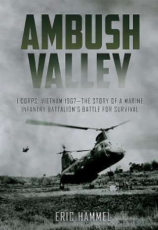 Kniha Ambush Valley Eric M. Hammel