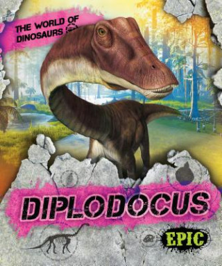 Kniha Diplodocus Rebecca Sabelko