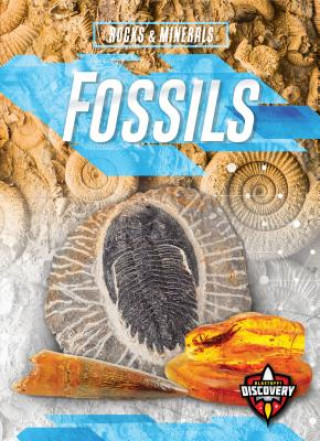 Book Fossils Patrick Perish