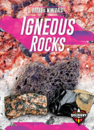Book Igneous Rocks Jenny Fretland Vanvoorst