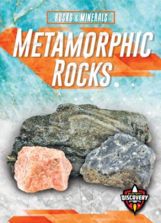 Kniha Metamorphic Rocks Jenny Fretland Vanvoorst