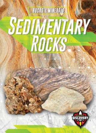 Libro Sedimentary Rocks Jenny Fretland Vanvoorst