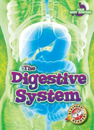 Carte The Digestive System Rebecca Pettiford