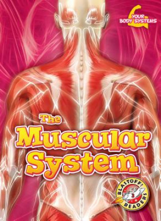 Livro The Muscular System Rebecca Pettiford