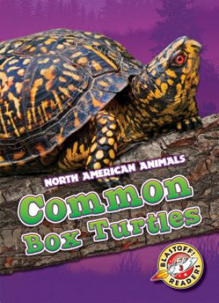 Boek Common Box Turtles Al Albertson