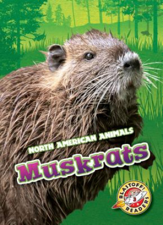 Knjiga Muskrats Al Albertson