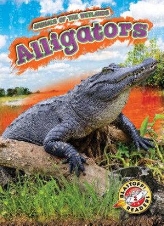 Knjiga Alligators Rachel Grack