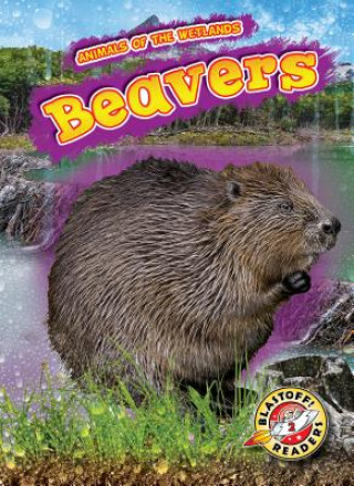 Kniha Beavers Rachel Grack