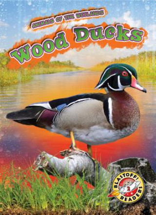 Книга Wood Ducks Rachel Grack