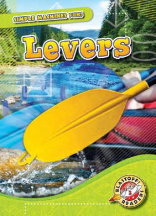 Kniha Levers Joanne Mattern