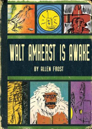 Kniha Walt Amherst is Awake Allen Frost