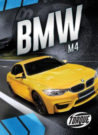 Könyv BMW M4 Nathan Sommer
